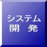 システム 開　発 